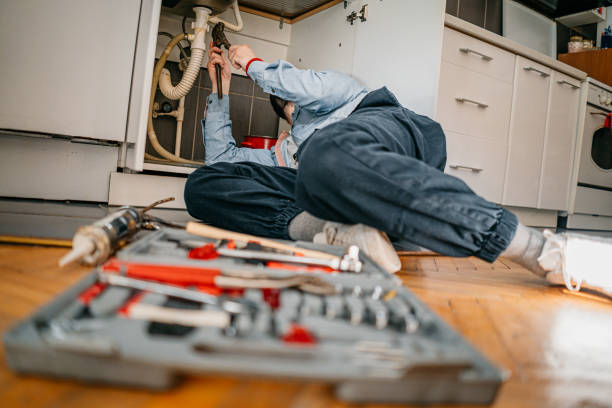 Best Residential Plumbing Services  in Palm Shores, FL