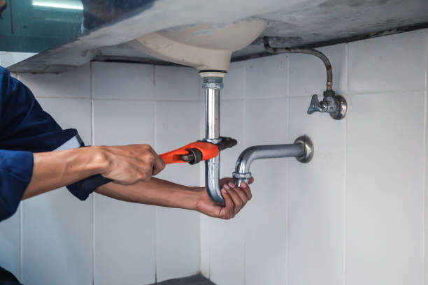 Best Emergency Plumber  in Palm Shores, FL