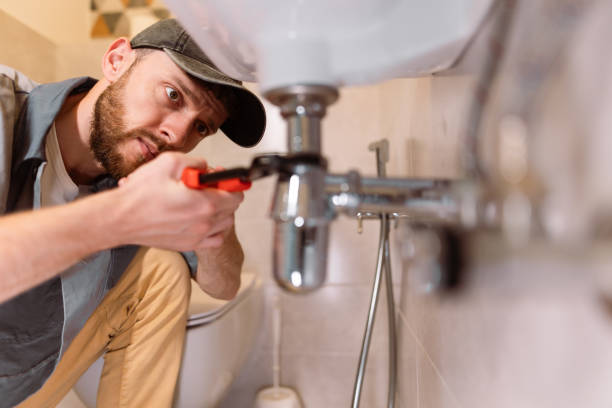 Best Plumbing Services Near Me  in Palm Shores, FL